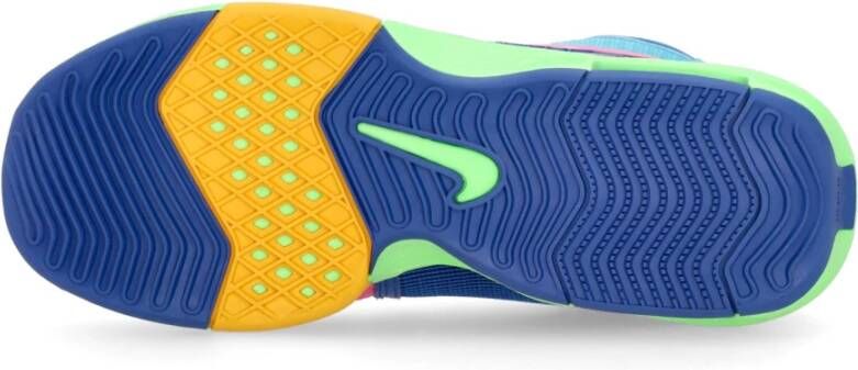 Nike Lebron Witness 8 I Promise School Basketbalschoen Multicolor Heren