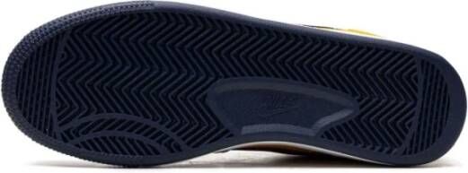 Nike Michigan Lage Sneakers Universiteit Goud Multicolor Dames