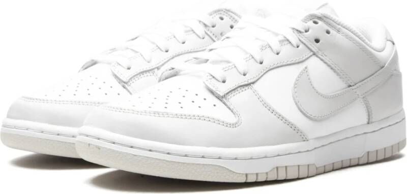 Nike Photon Dust Low Dunk Grijs Unisex