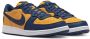 Nike Michigan Lage Sneakers Universiteit Goud Multicolor Dames - Thumbnail 7