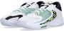 Nike Zoom Freak 4 Greek Coastline Basketbalschoen Multicolor Heren - Thumbnail 6