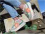 No Name Carter Jogger Sneakers Nude Dove Orange Multicolor Dames - Thumbnail 18
