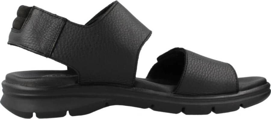 Panama Jack Platte Sandalen Black Heren