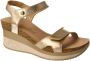 Panama Jack Gouden Metallic Sleehak Sandaal voor Vrouwen Multicolor Dames - Thumbnail 12