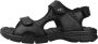 Panama Jack Platte Sandalen met Plakband Black Heren - Thumbnail 6