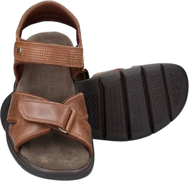 Panama Jack Sandals Bruin Heren