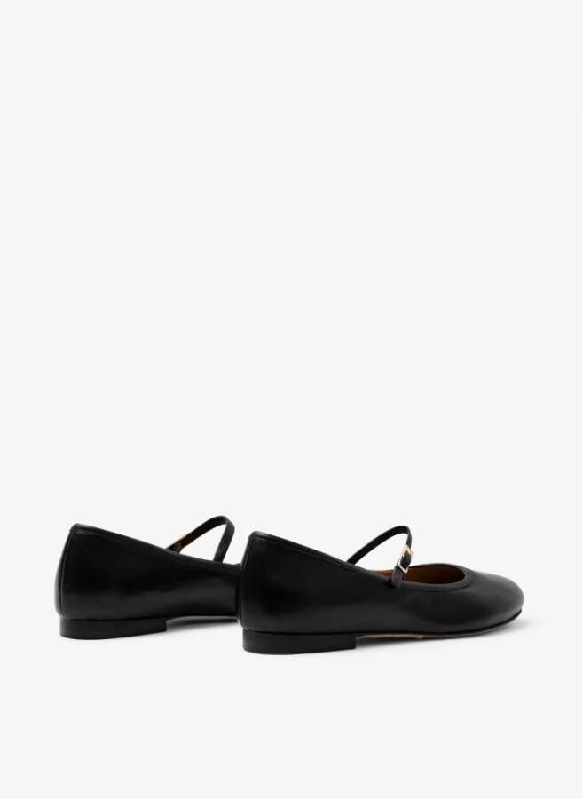 Parallele Dakota Ballerina`s