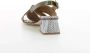 Pertini Bruine Damesschoenen - Thumbnail 2