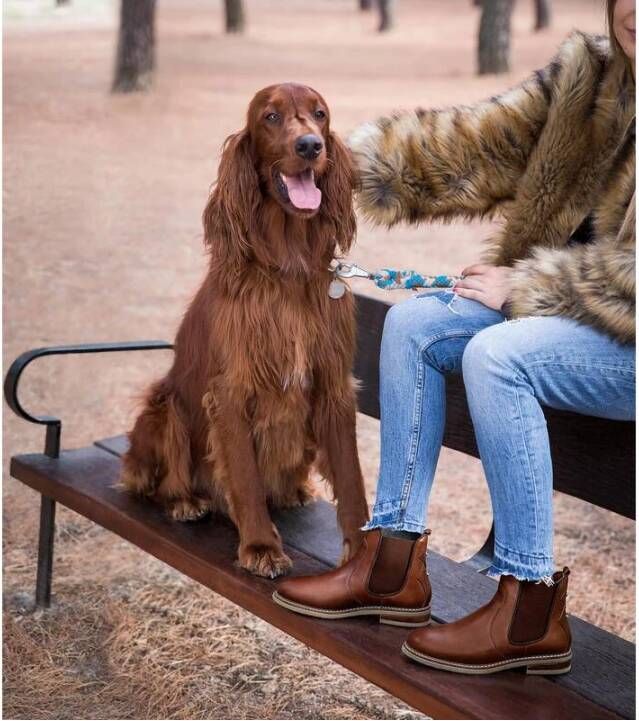 Pikolinos Ankle Boots Brown Dames