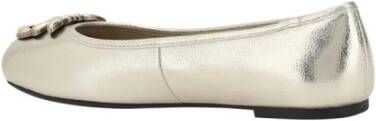 pinko Metallic Finish Ballerina's met Iconic Logo Gray Dames
