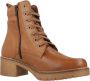 Pitillos Militaire Veterschoenen Brown Dames - Thumbnail 6