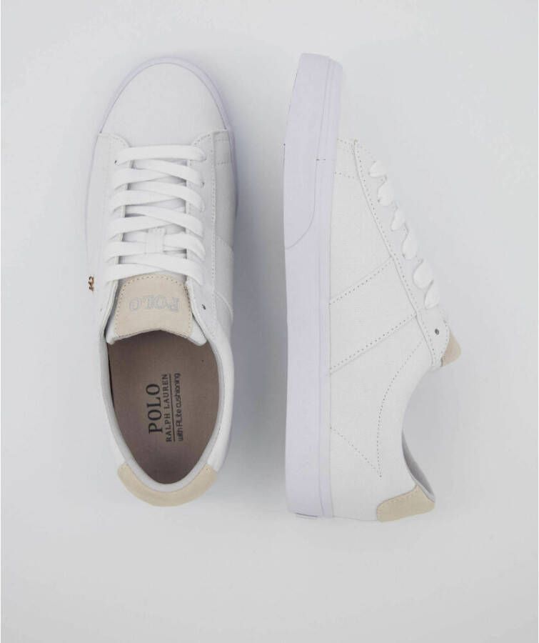 Polo Ralph Lauren Sneakers Wit Heren