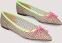 Pretty Ballerinas Transparante Nude Ballerina Schoenen Multicolor Dames - Thumbnail 2