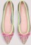 Pretty Ballerinas Transparante Nude Ballerina Schoenen Multicolor Dames - Thumbnail 4