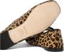 Repetto Bruine Ballet Flats Elegante Schoenen - Thumbnail 2