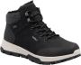 Rieker Zwarte Casual Gesloten Heren Enkellaarzen Black Heren - Thumbnail 3