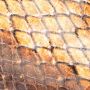 Roberto Cavalli Python Print Hoge Hak Pumps - Thumbnail 2