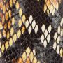 Roberto Cavalli Python Print Leren Cow Laarzen - Thumbnail 2