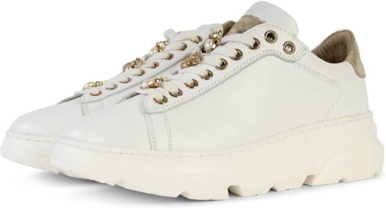 Roberto d'Angelo Roberto dAngelo Sneakers Excel Multicolor Dames