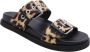 Rotta Slipper Leopard Print - Thumbnail 3