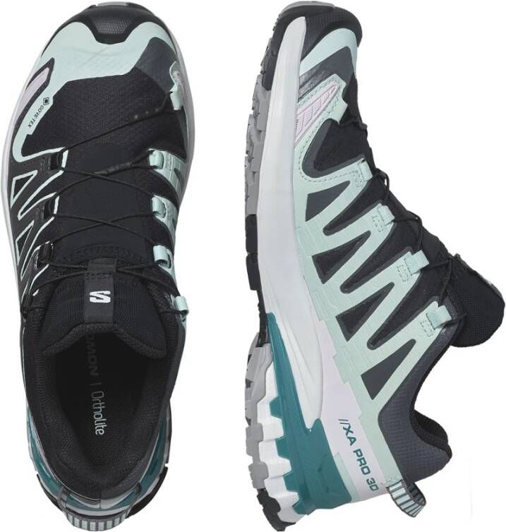 Salomon 3D V9 GTX W Sneakers
