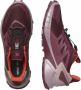 Salomon Runningschoenen SUPERCROSS 4 GORE-TEX W - Thumbnail 3