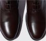 Scarosso Archie Oxford Stijl Veterschoenen Bruin Heren - Thumbnail 2