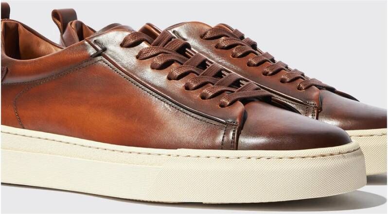 Scarosso Sneakers Brown Heren
