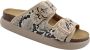 Scholl Sandalen Noelle Chunky Synthetisch Leer Vrouwen Python - Thumbnail 8