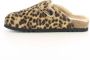 Scholl Dames Cognac Leren Schoenen Brown Dames - Thumbnail 4