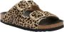 Scholl Noelle Sandalen Bruin - Thumbnail 2