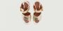 SEE BY CHLOÉ See By Chloé Sandalen Dames Lyna Sandaal Maat: 41 Materiaal: Leer Kleur: Goud - Thumbnail 9