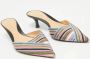 Sergio Rossi Pre-owned Fabric sandals Multicolor Dames - Thumbnail 3