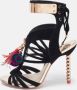 Sophia Webster Pre-owned Suede sandals Black Dames - Thumbnail 2