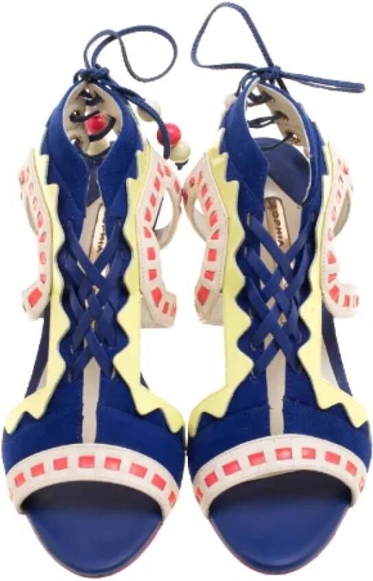 Sophia Webster Pre-owned Suede sandals Multicolor Dames