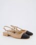 Steve Madden Dames Belinda Beige Dames - Thumbnail 4