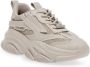 STEVE MADDEN Possession-E greige Grijs Kunststof Lage sneakers Dames - Thumbnail 13