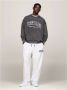 TOMMY JEANS Sneakers (NEW) TJM CUPSOLE LEATHER ESS vrijetijdsschoen lage schoen veterschoen in basket-look - Thumbnail 6