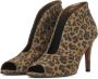 Toral Enkellaarsjes Dames Laarzen Damesschoenen Suède Leopardprint 10421 sue Leopard - Thumbnail 2