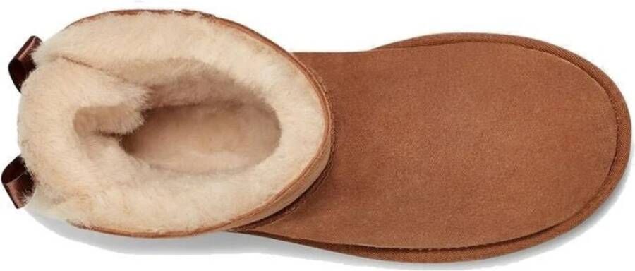 Ugg Ankle Boots Bruin Dames