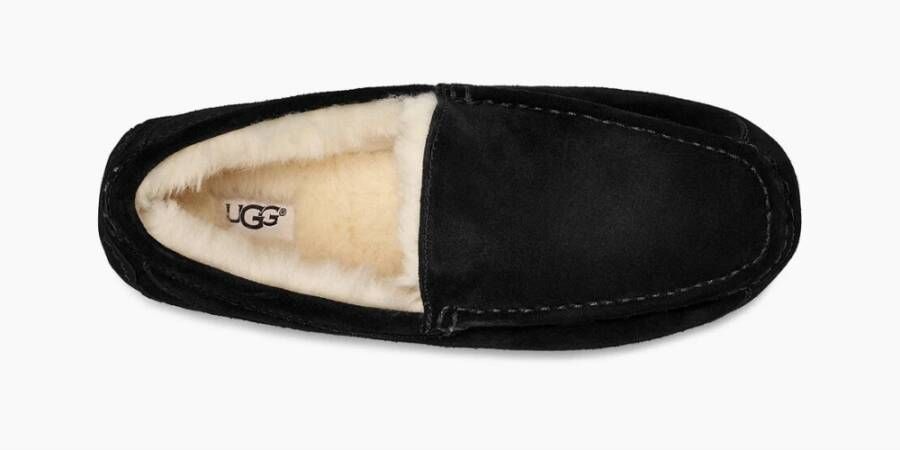 Ugg Ascot Slippers Zwart Heren