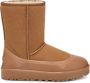 Ugg guard 2.0 Brown Dames - Thumbnail 7