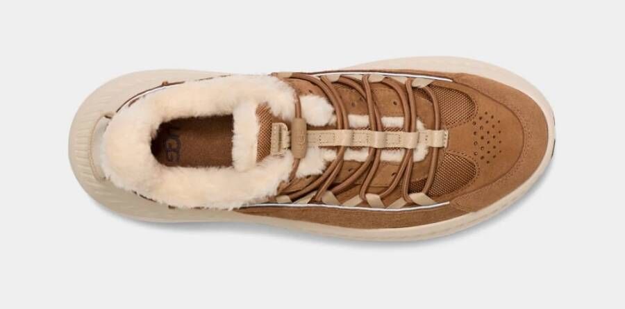 Ugg Heritage Trainer Remix Lichtgewicht Sneaker Brown Dames