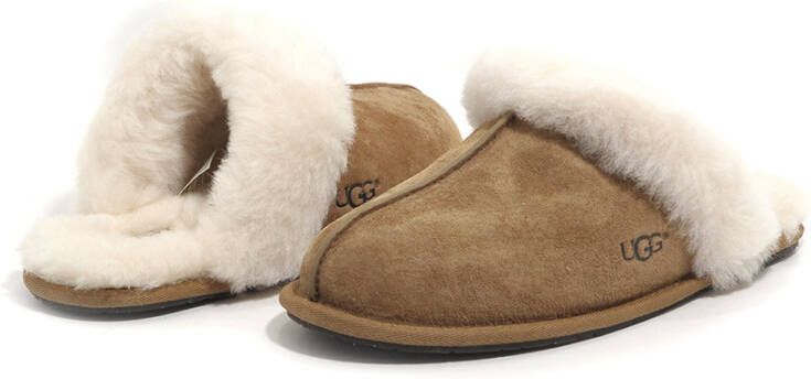 Ugg Slippers Beige Dames