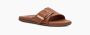 UGG Bruine Slippers W Solivan Buckle Slide - Thumbnail 7