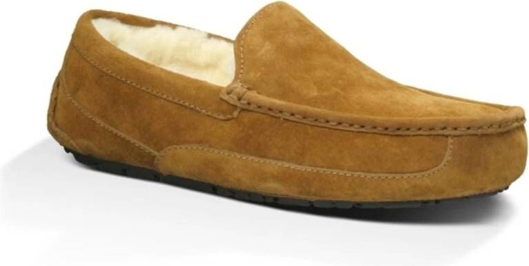 Ugg Slippers Bruin Heren