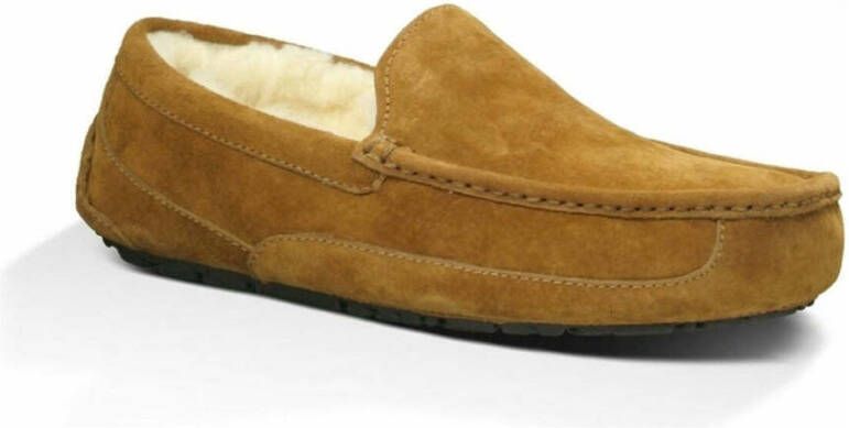 Ugg Slippers Bruin Heren