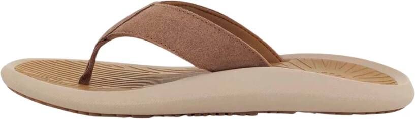 Ugg Slippers Bruin Heren