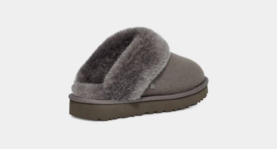 Ugg Slippers Grijs Dames