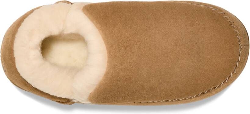Ugg M Anders Winterschoenen Brown Heren
